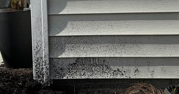 Rain-splashed dirt discoloring the siding at the base of a home before seamless gutters were installed